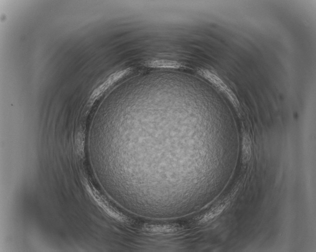 X0000087420533200704271739