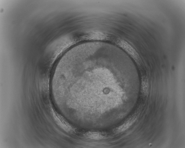 X0000087420534200704271739