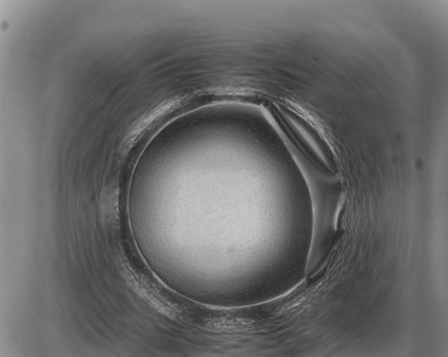 X0000087420535200704271739