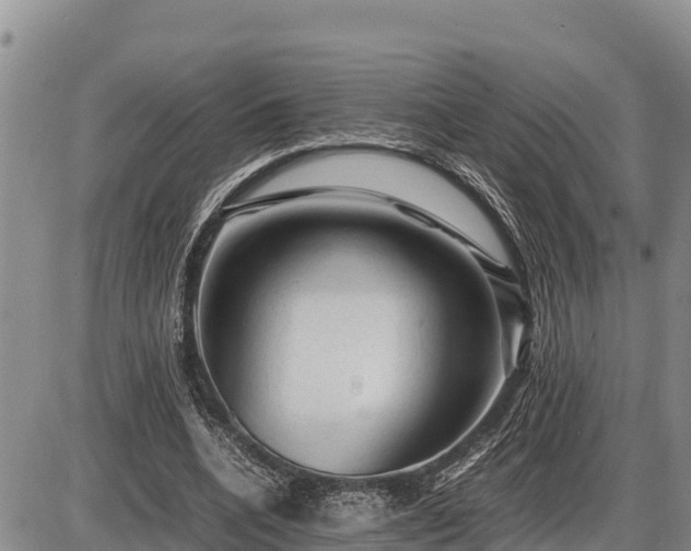 X0000087420536200704271739