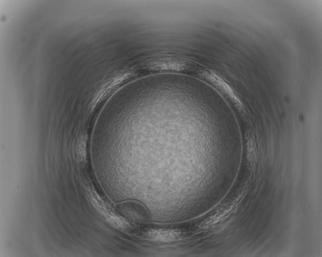 X0000087420537200704271739