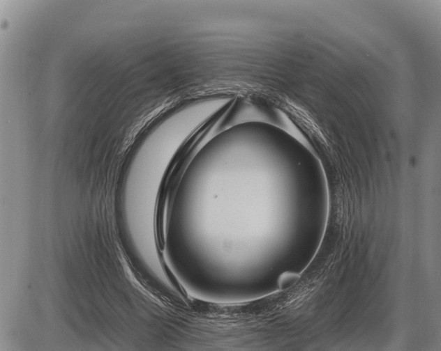 X0000087420538200704271739