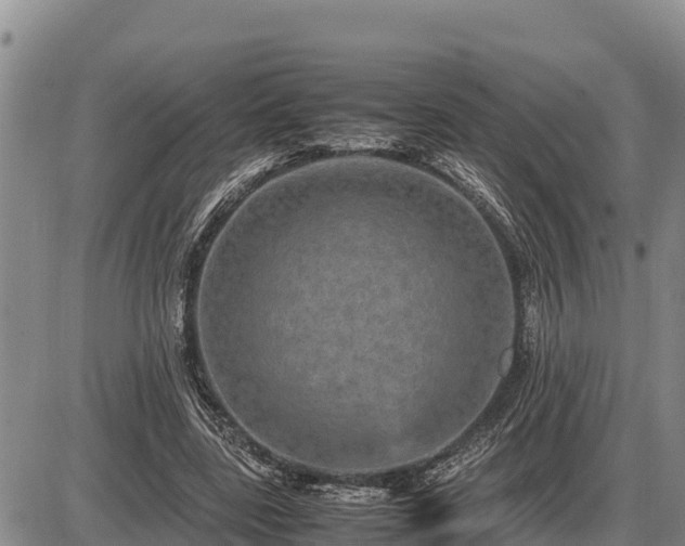 X0000087420539200704271739