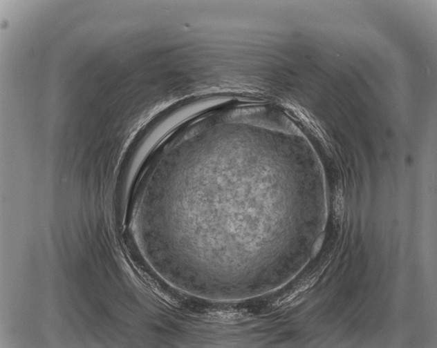 X0000087420540200704271739