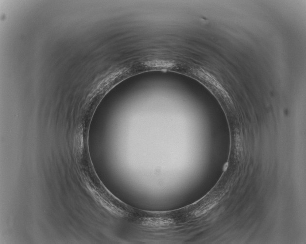 X0000087420541200704271739