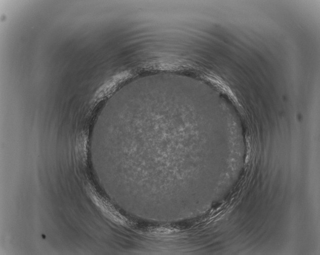 X0000087420542200704271740