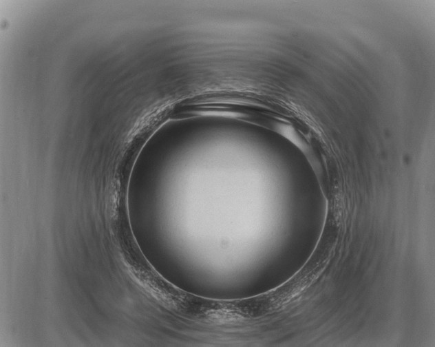 X0000087420544200704271740