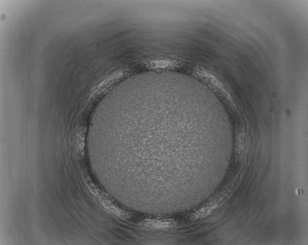 X0000087420545200704271740