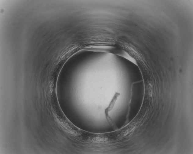 X0000087420546200704271740