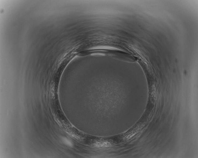 X0000087420547200704271740