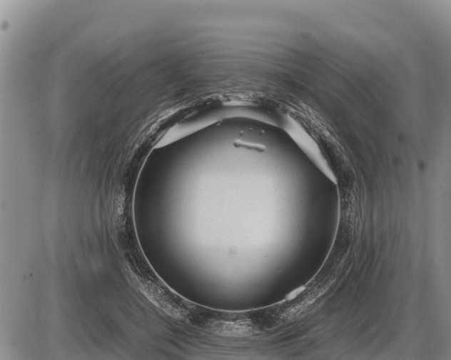 X0000087420548200704271740