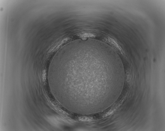 X0000087420549200704271740