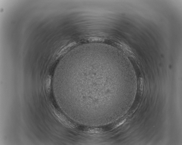 X0000087420550200704271740