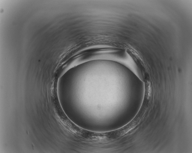 X0000087420552200704271740