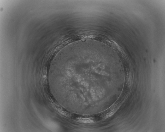 X0000087420553200704271740