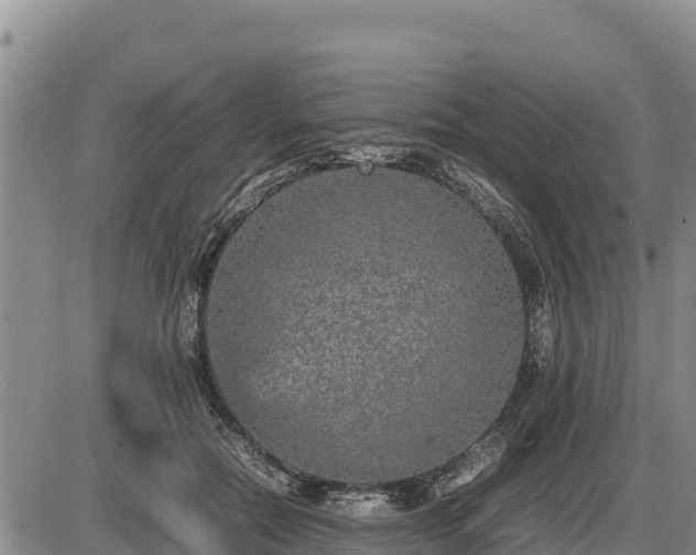 X0000087420554200704271740