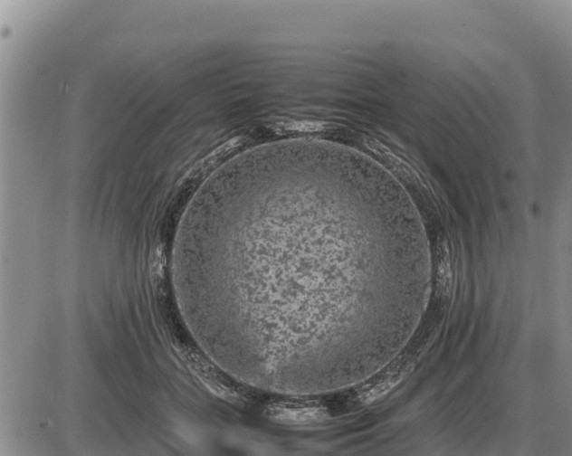 X0000087420555200704271740