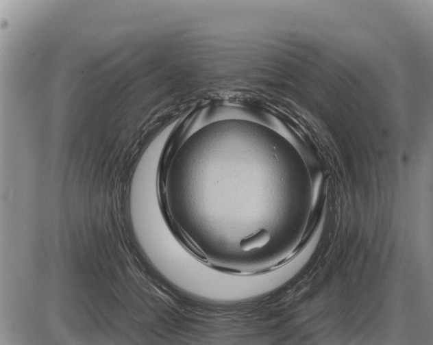 X0000087420558200704271740