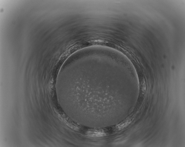 X0000087420559200704271740