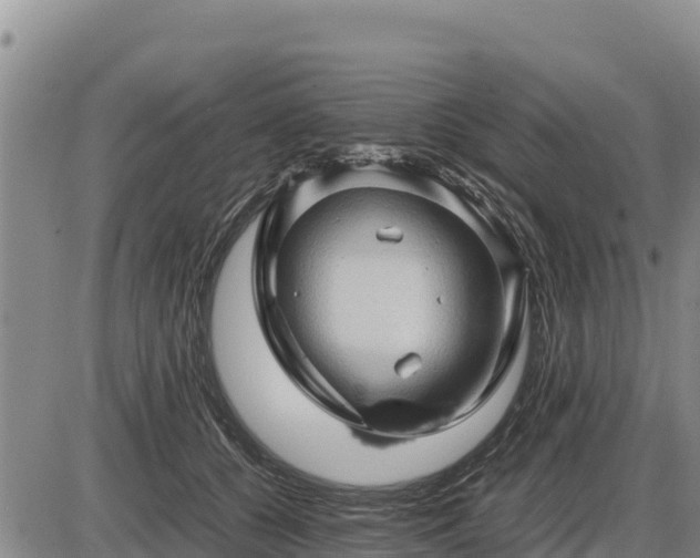 X0000087420560200704271740