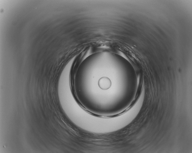 X0000087420562200704271740