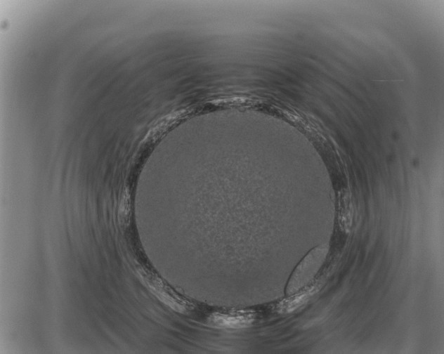 X0000087420563200704271740