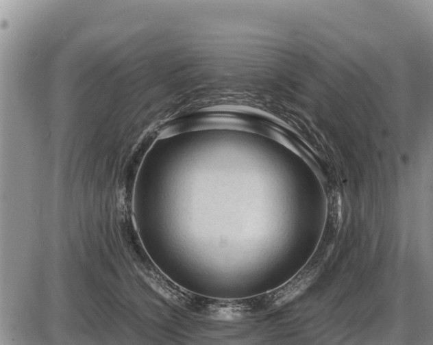 X0000087420564200704271740