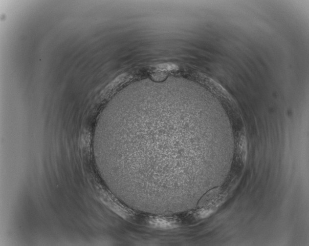 X0000087420565200704271740