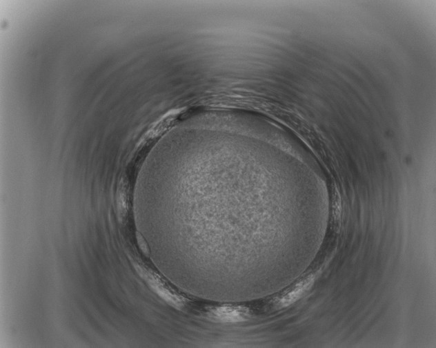 X0000087420566200704271740