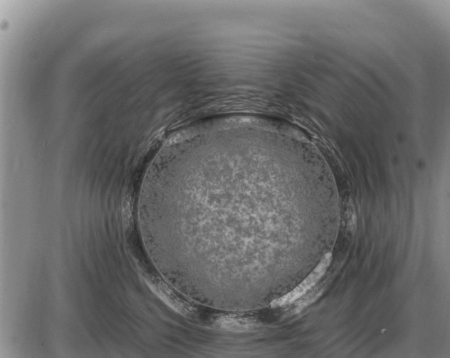 X0000087420568200704271740