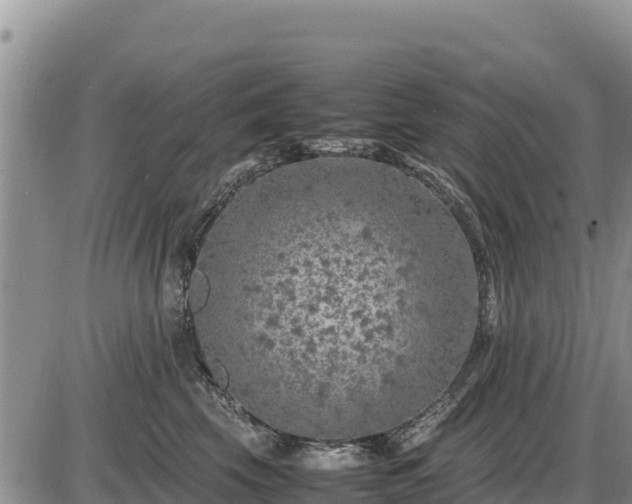 X0000087420569200704271740