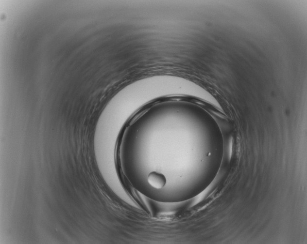 X0000087420570200704271740