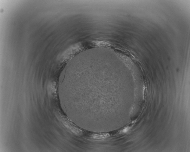 X0000087420571200704271740