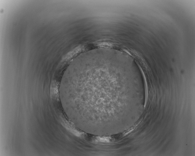 X0000087420573200704271740