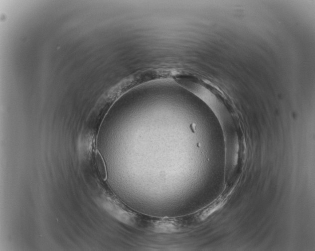 X0000087420574200704271740