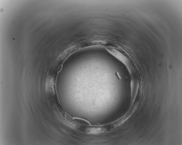 X0000087420575200704271740