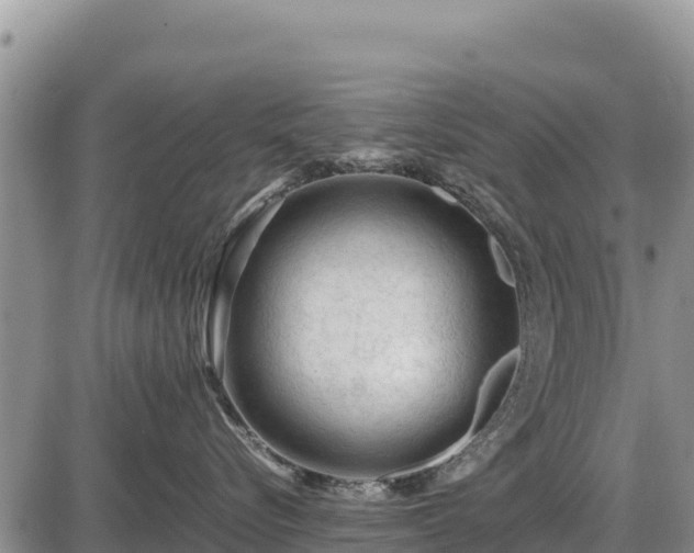 X0000087420576200704271740