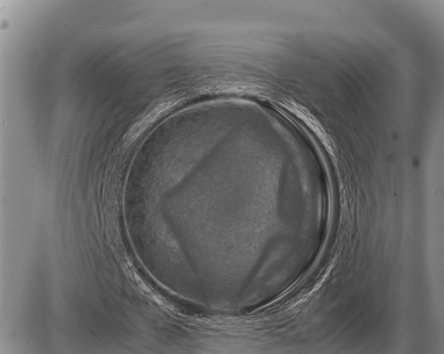 X0000087420577200704271739