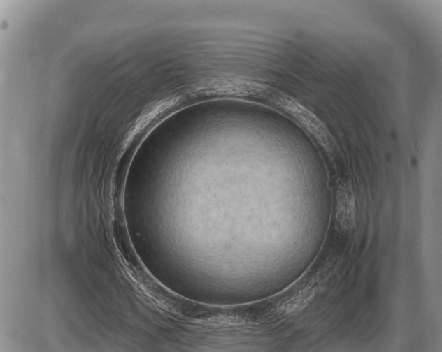 X0000087420578200704271739