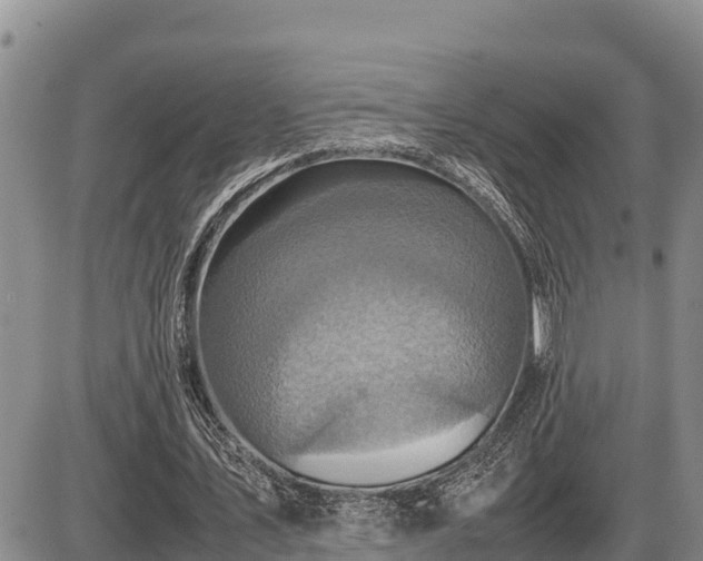 X0000087420579200704271739