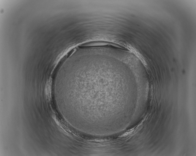 X0000087420580200704271739