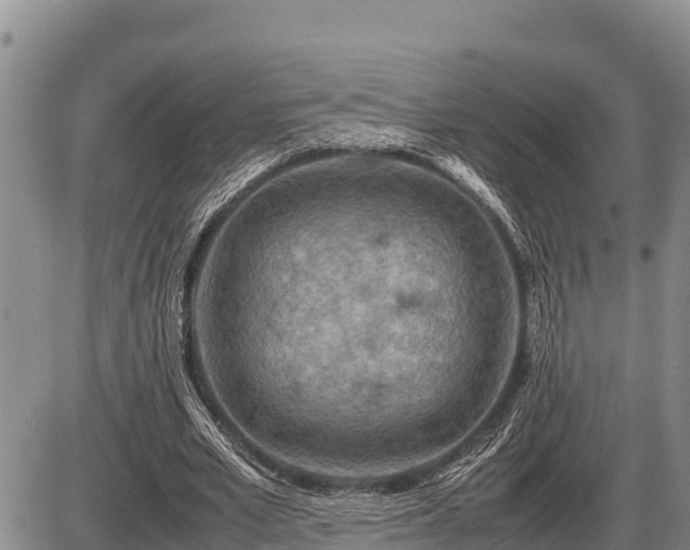 X0000087420581200704271739