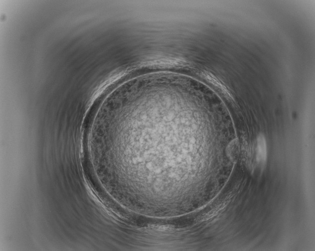 X0000087420582200704271739