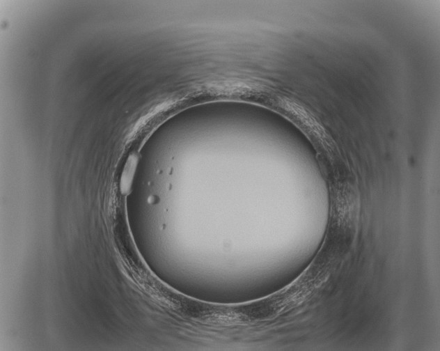 X0000087420583200704271739