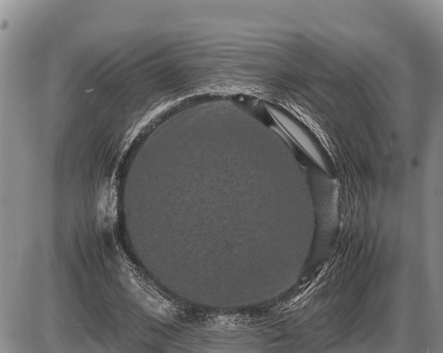 X0000087420584200704271739