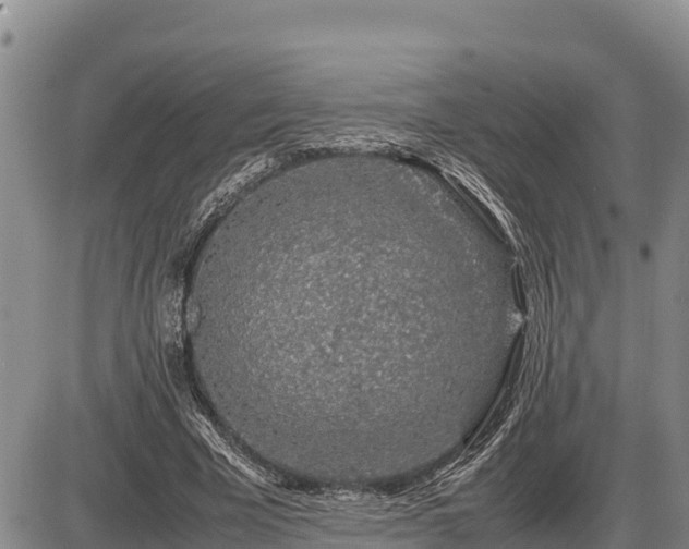 X0000087420585200704271739