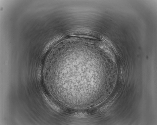 X0000087420586200704271739