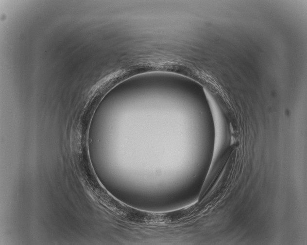 X0000087420587200704271739