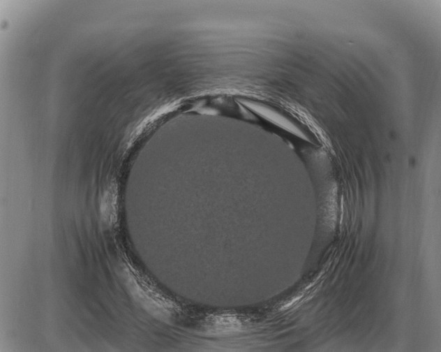 X0000087420588200704271739