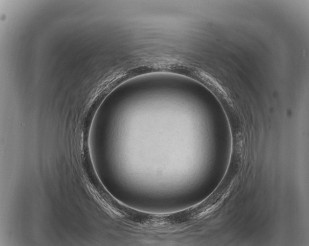 X0000087420589200704271739